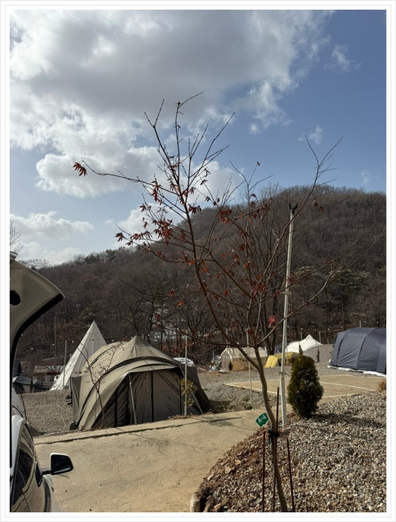 대이산 숲속 캠프 이미지