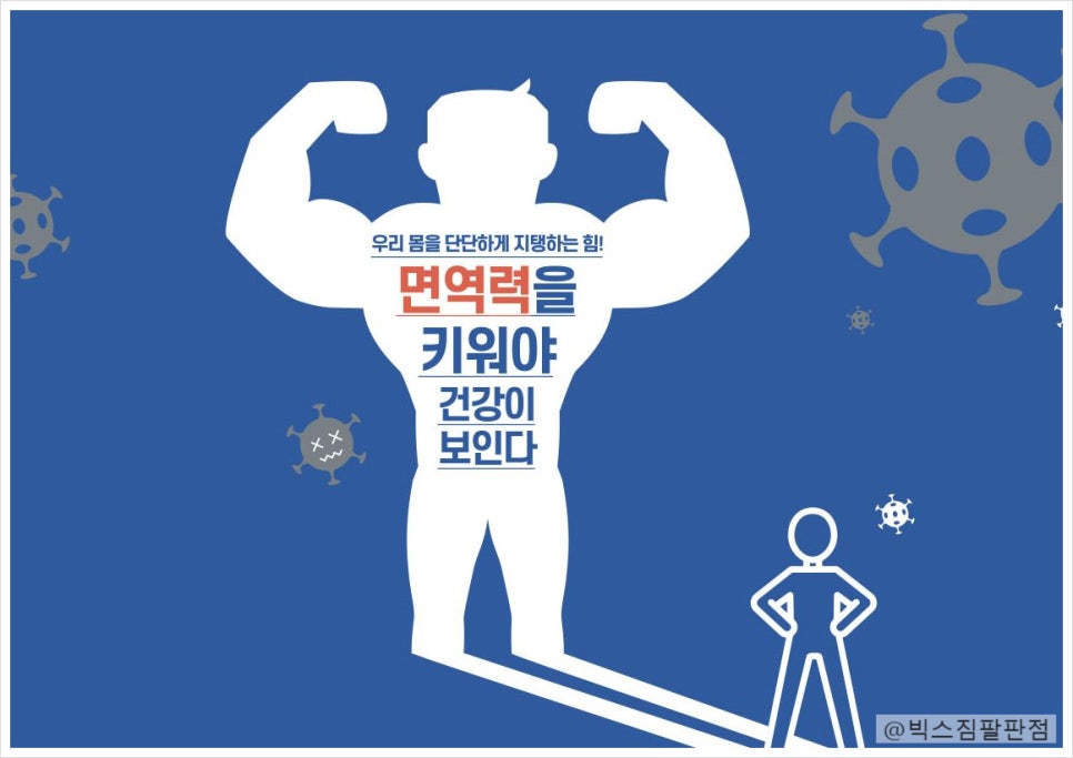 빅스짐팔판 이미지