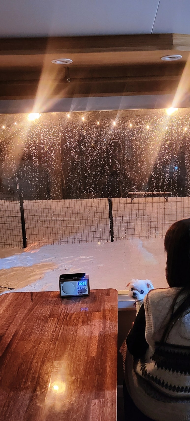 초정힐링캠핑장 이미지