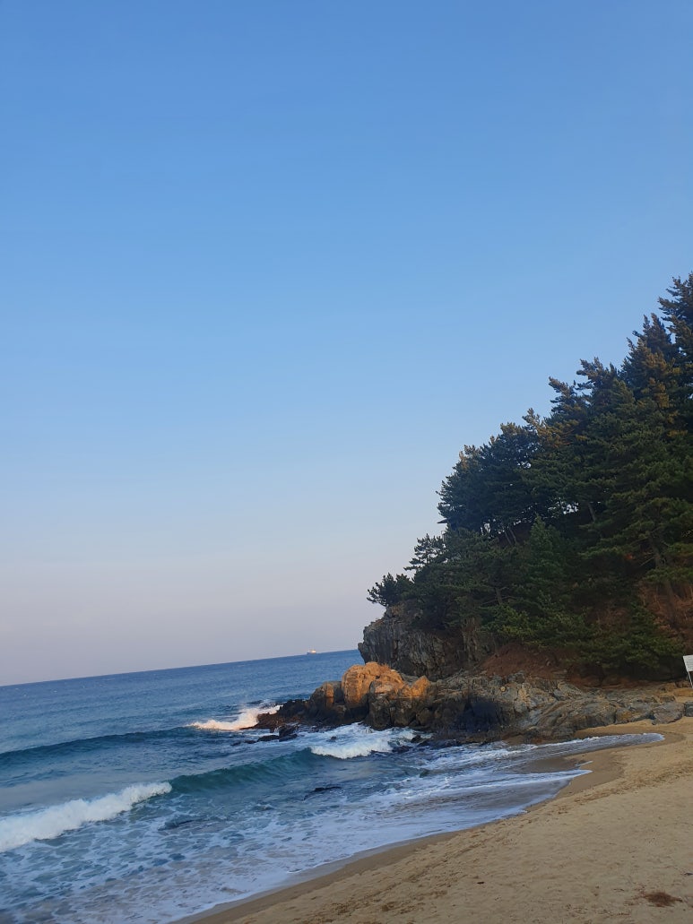 달달커피 이미지