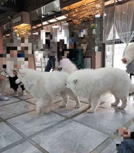 겨울이머무는집 이미지