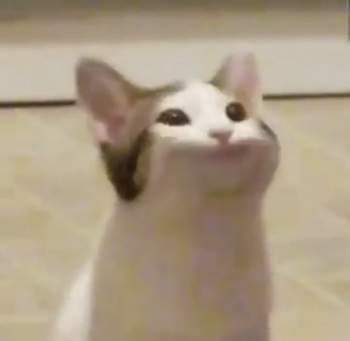 더캄네일 이미지