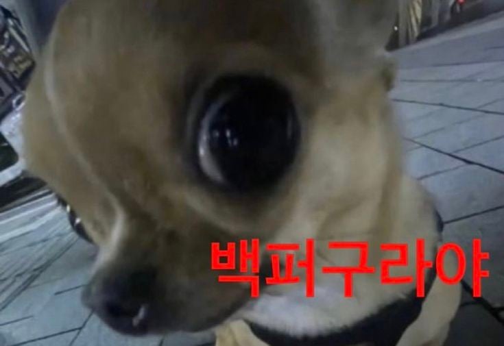 복 이미지
