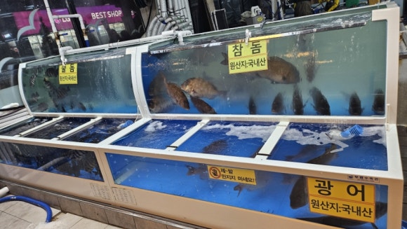 동부회센터2 이미지