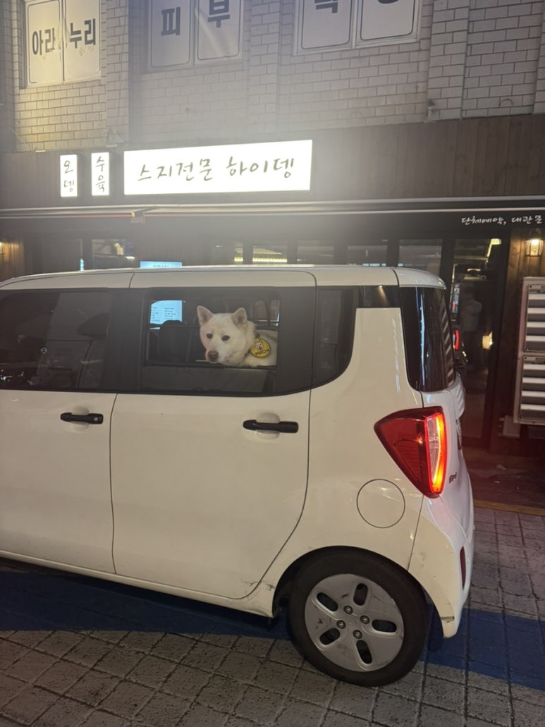 야미상사 이미지