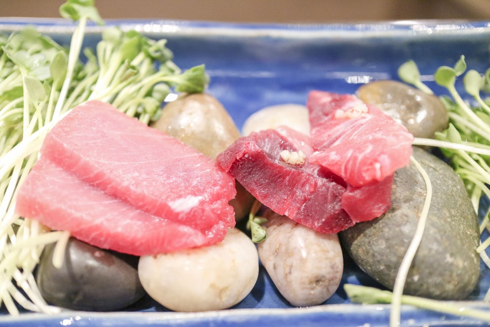 하참치 이미지