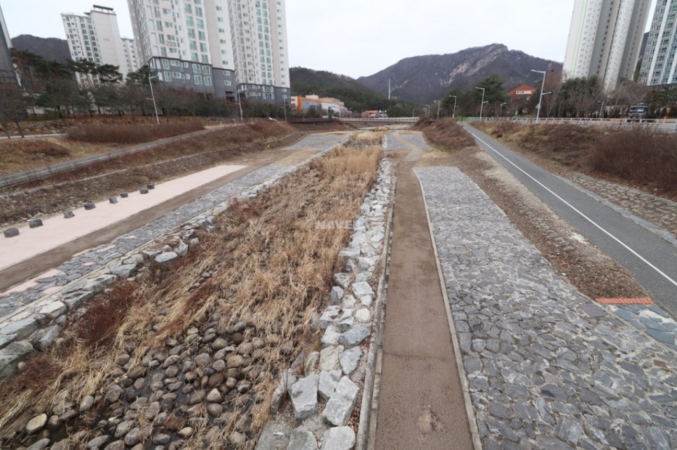 대전계산초등학교 이미지