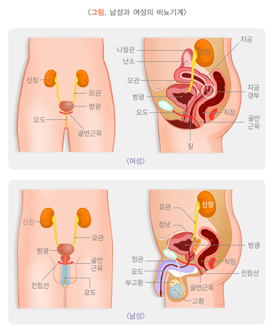 포시즌스요양병원 이미지
