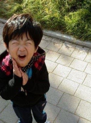 콩콩 이미지