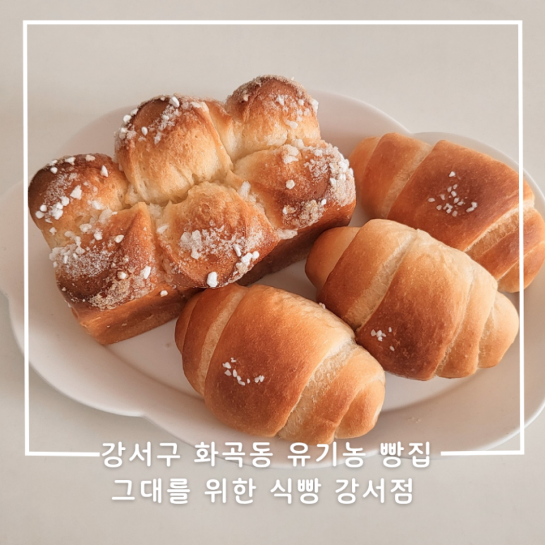 그대를위한식빵 이미지
