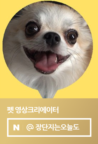 구디케어 이미지