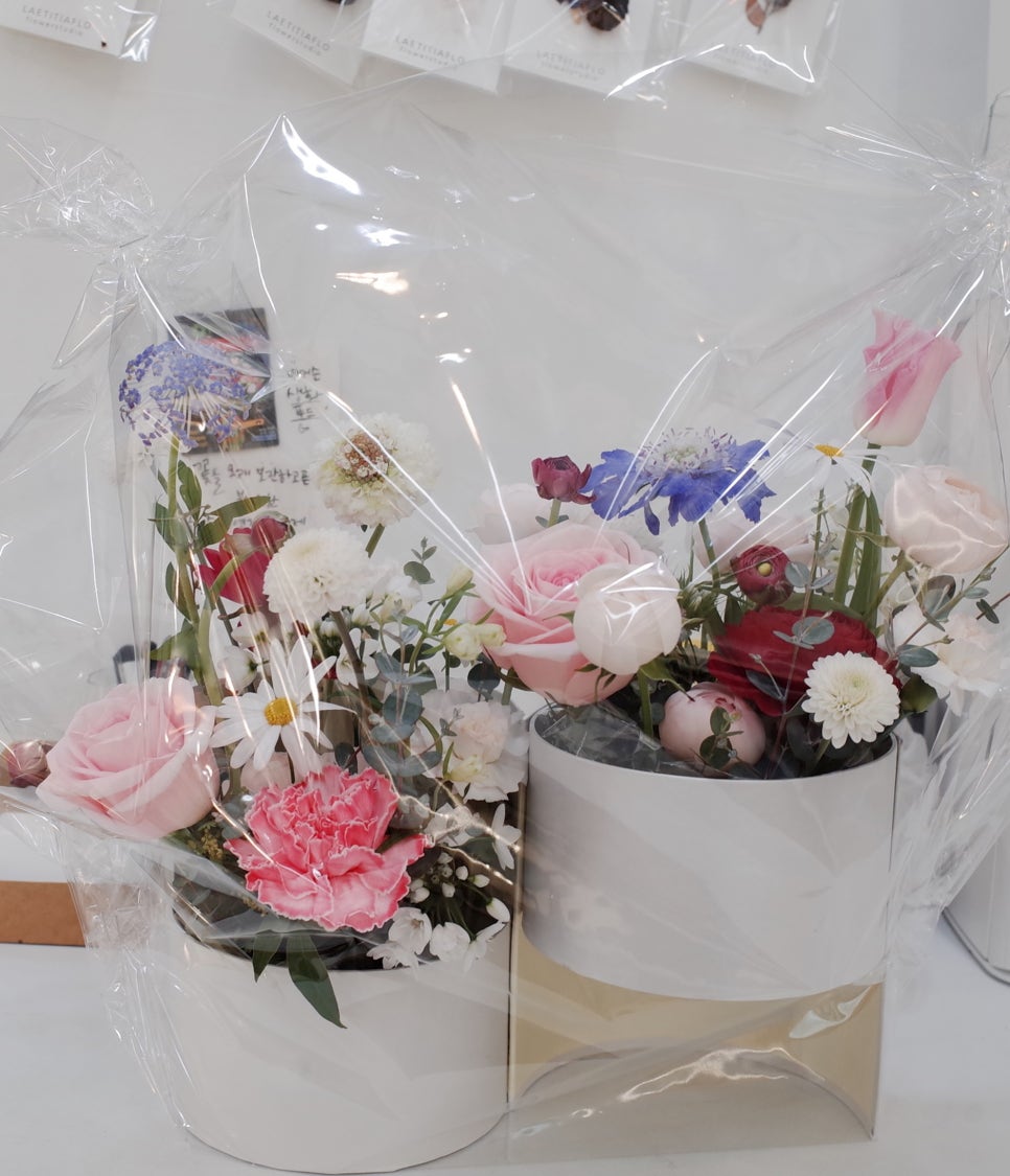라이티티아플로 이미지