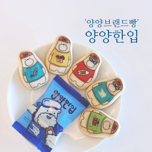 양양트랜드 이미지