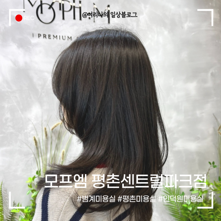 모프엠 이미지