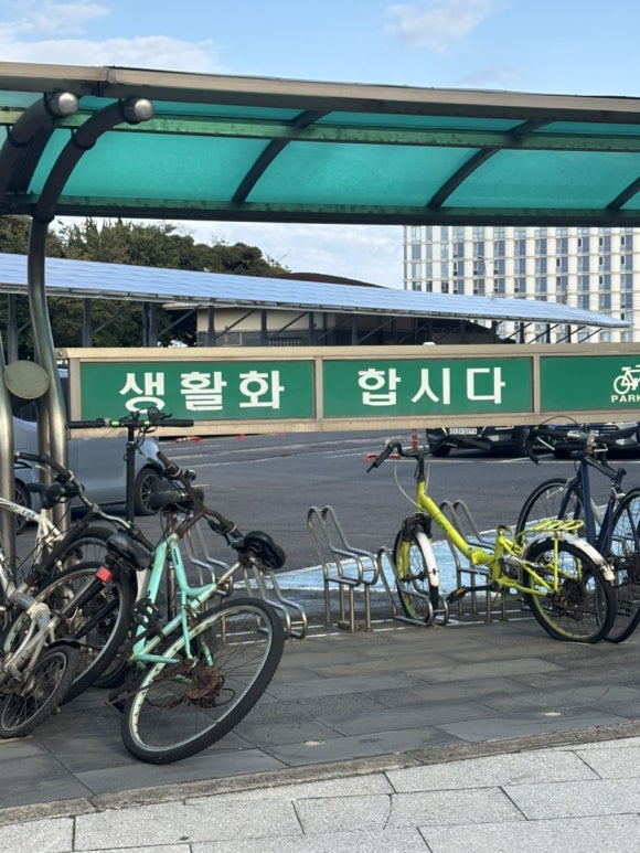 살로몬제주점 이미지