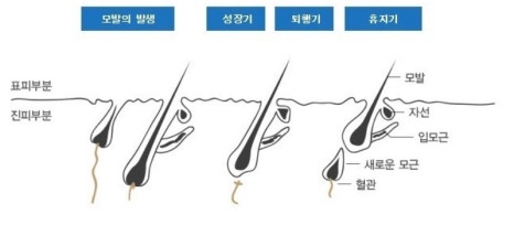 가인뷰티 이미지