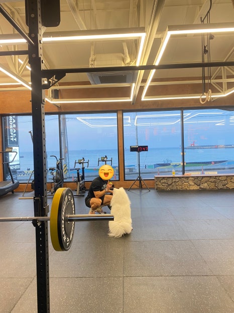 바솔트크로스핏 이미지