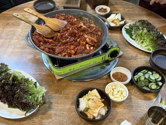 낙동생오리 이미지