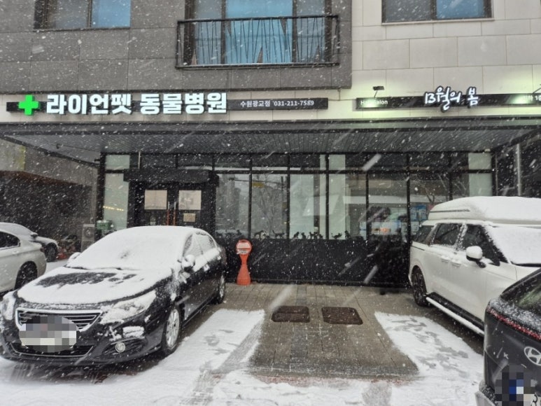청우명품한우 이미지
