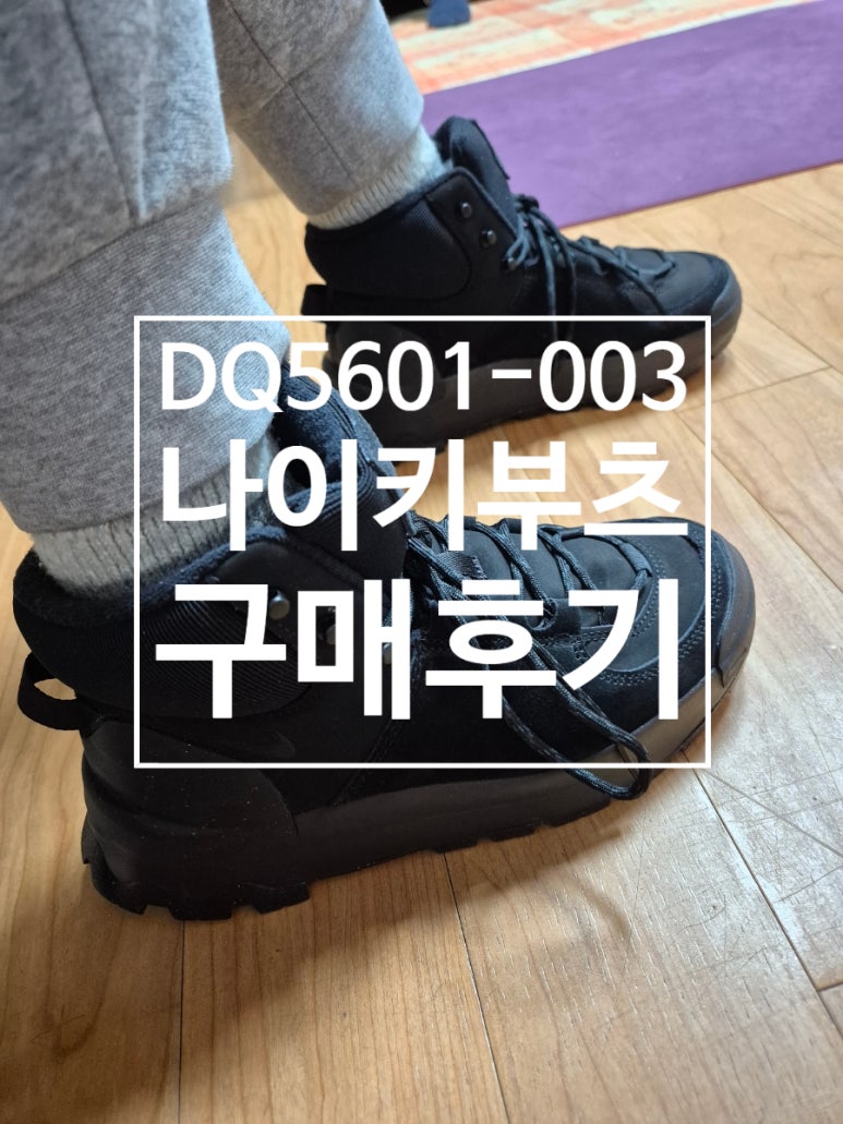신어보고 이미지