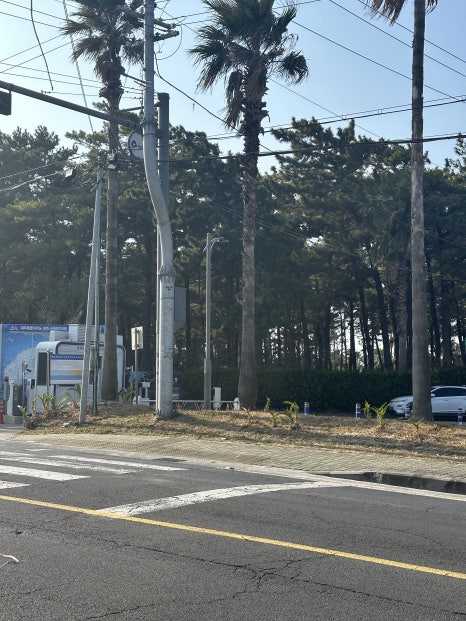 맘스터치협재점 이미지
