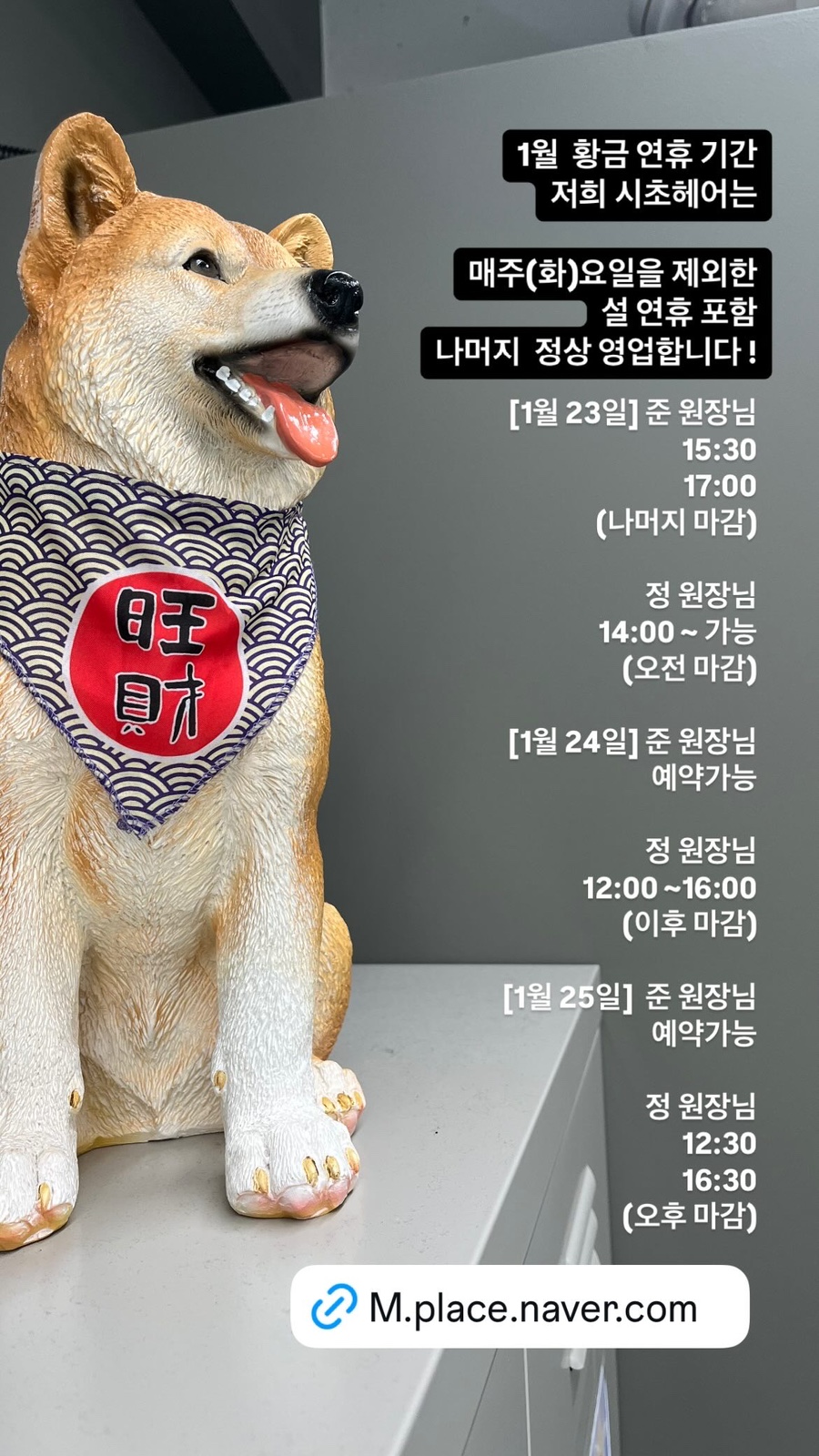 시초헤어 이미지
