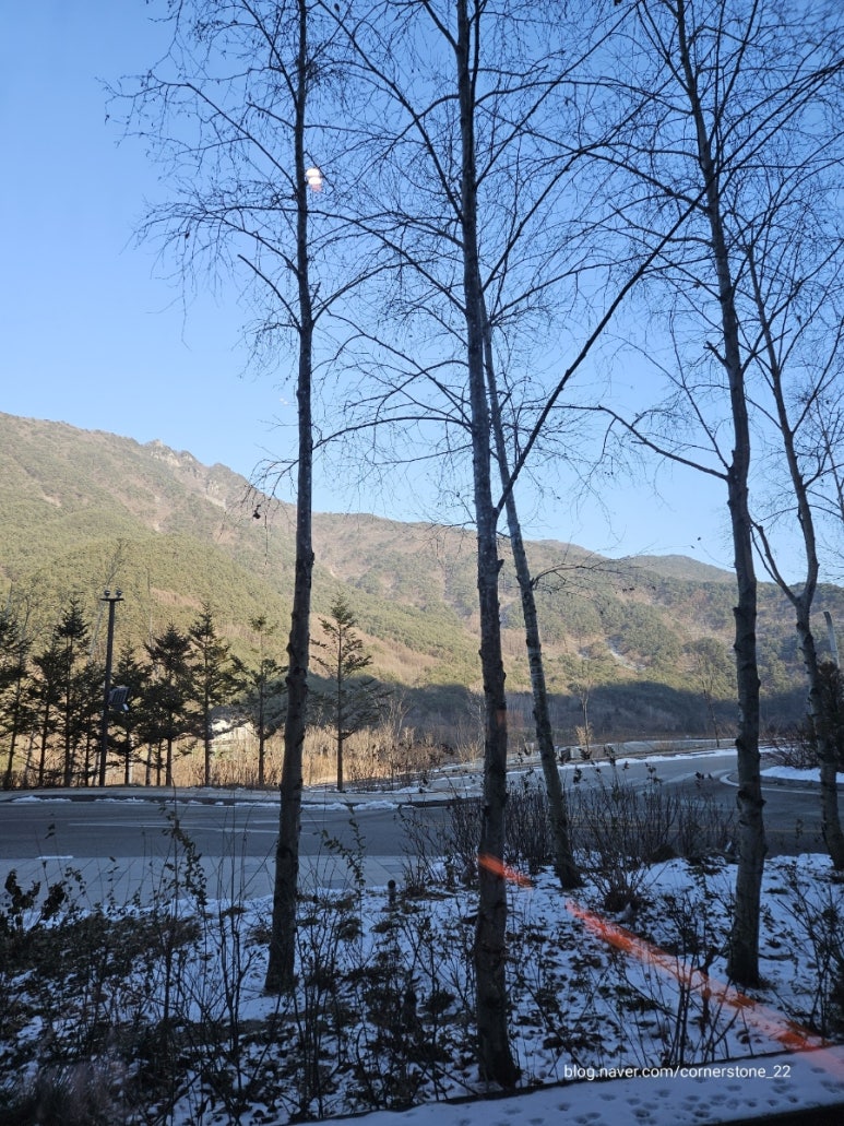 정선에코리조트 이미지