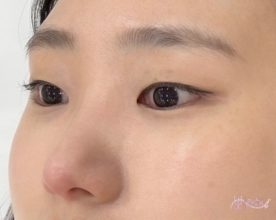 누벨르브로우 이미지