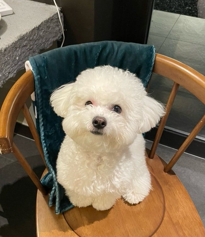스테이더담 무안점 이미지