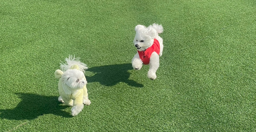 스테이더담 무안점 이미지