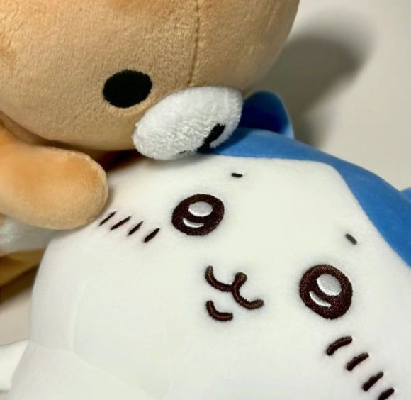 청신 이미지
