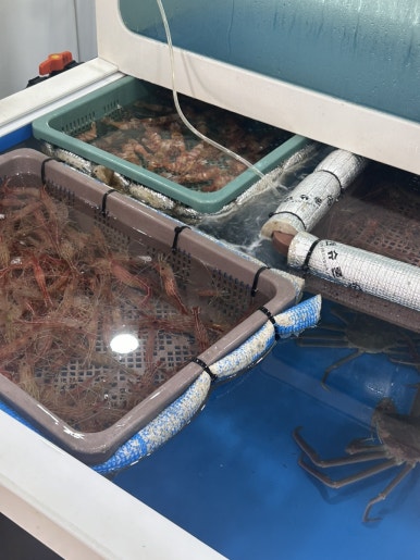 가야농수산 이미지