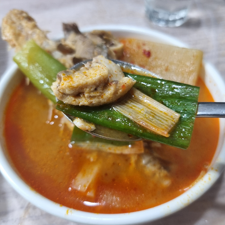 선희네 이미지