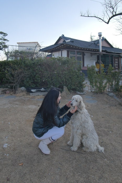 버등들 이미지