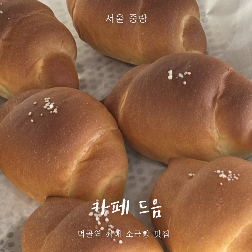 드음 이미지