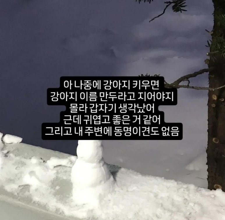 신만두가 이미지