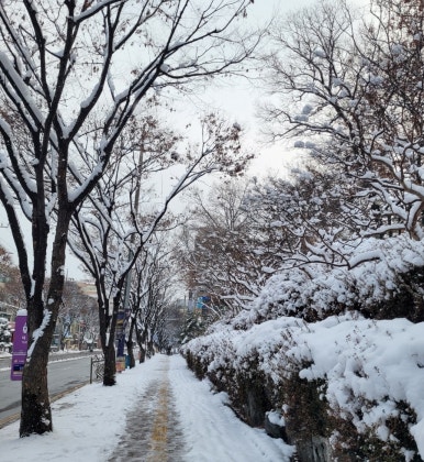 모서리 다방 이미지