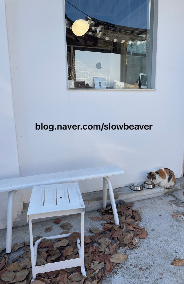 디터틀 이미지