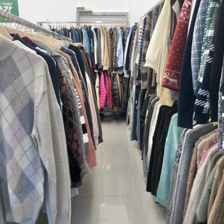 지구제구 이미지