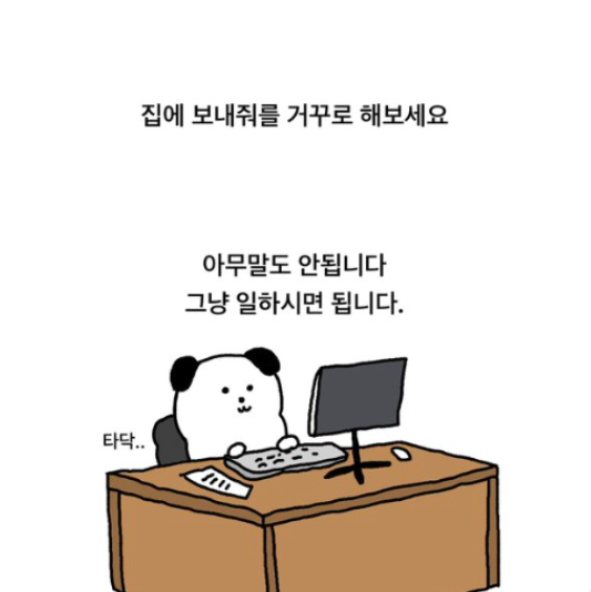 조박사 이미지