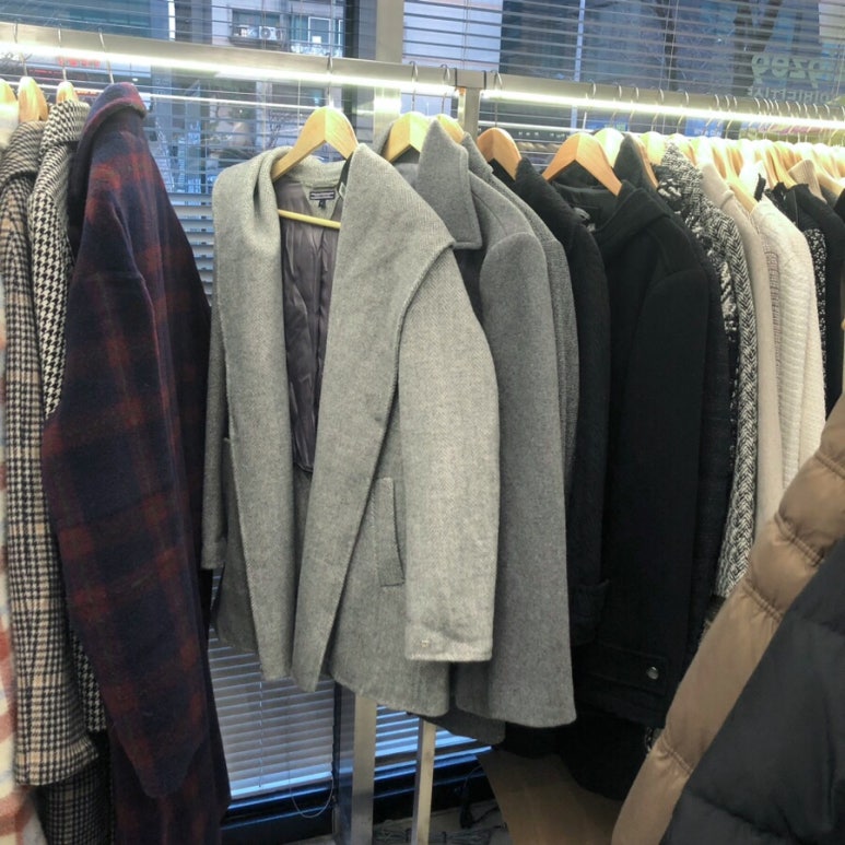 지구제구 이미지