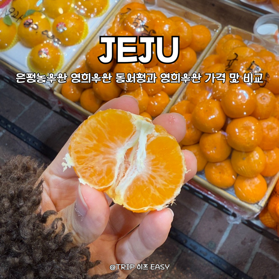 영희수산 이미지