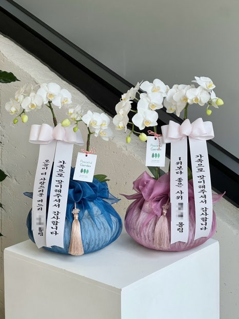 피스풀 이미지