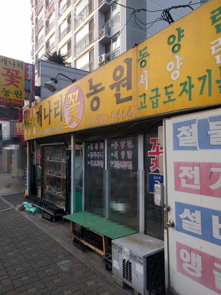 개나리꽃농원 이미지