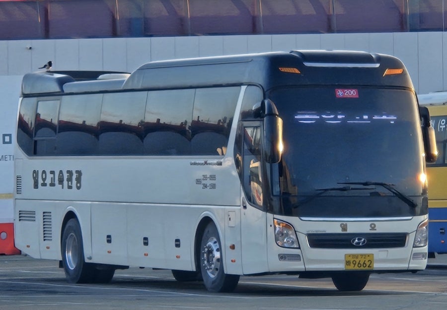 일오고속관광 이미지