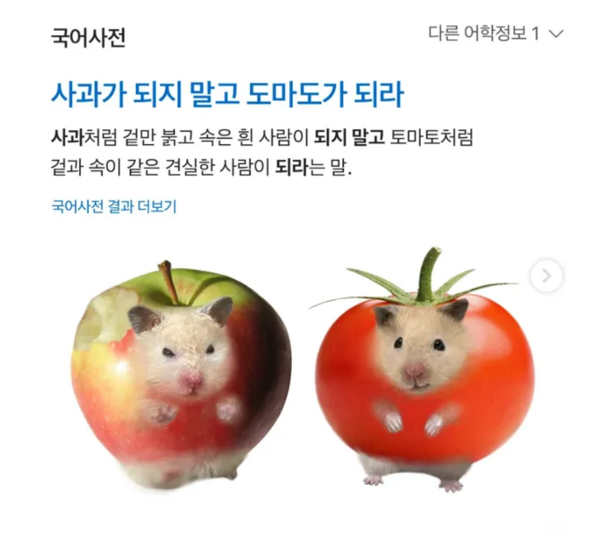 도마도마도 이미지