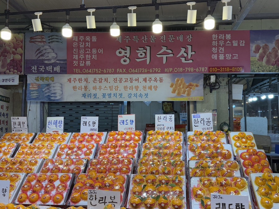 영희수산 이미지
