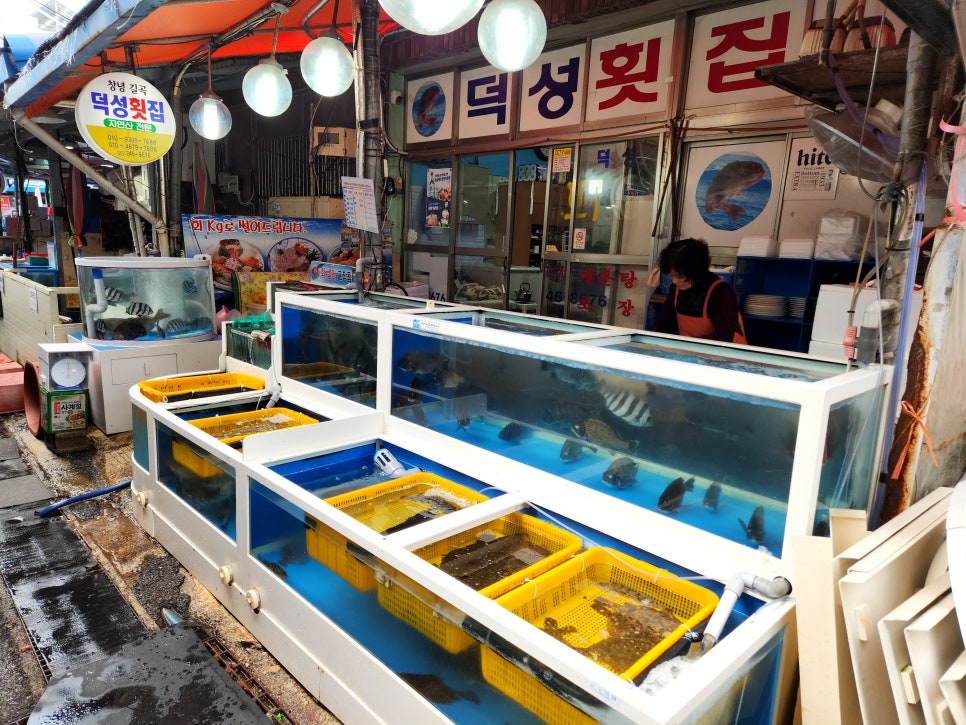 덕성횟집 이미지