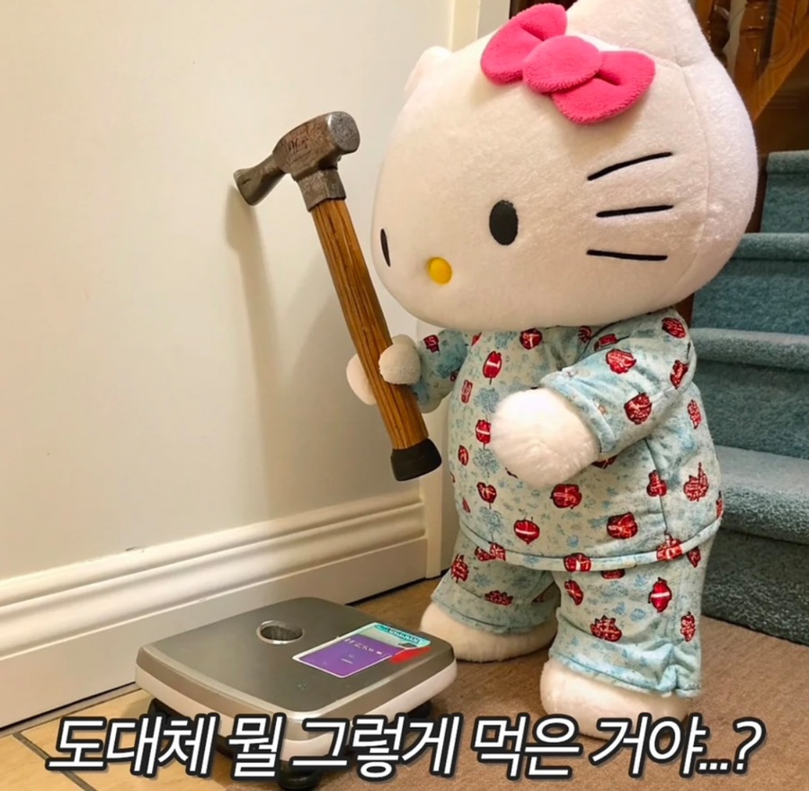 똥깡아지 이미지