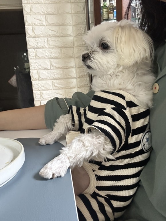 다록네일 이미지